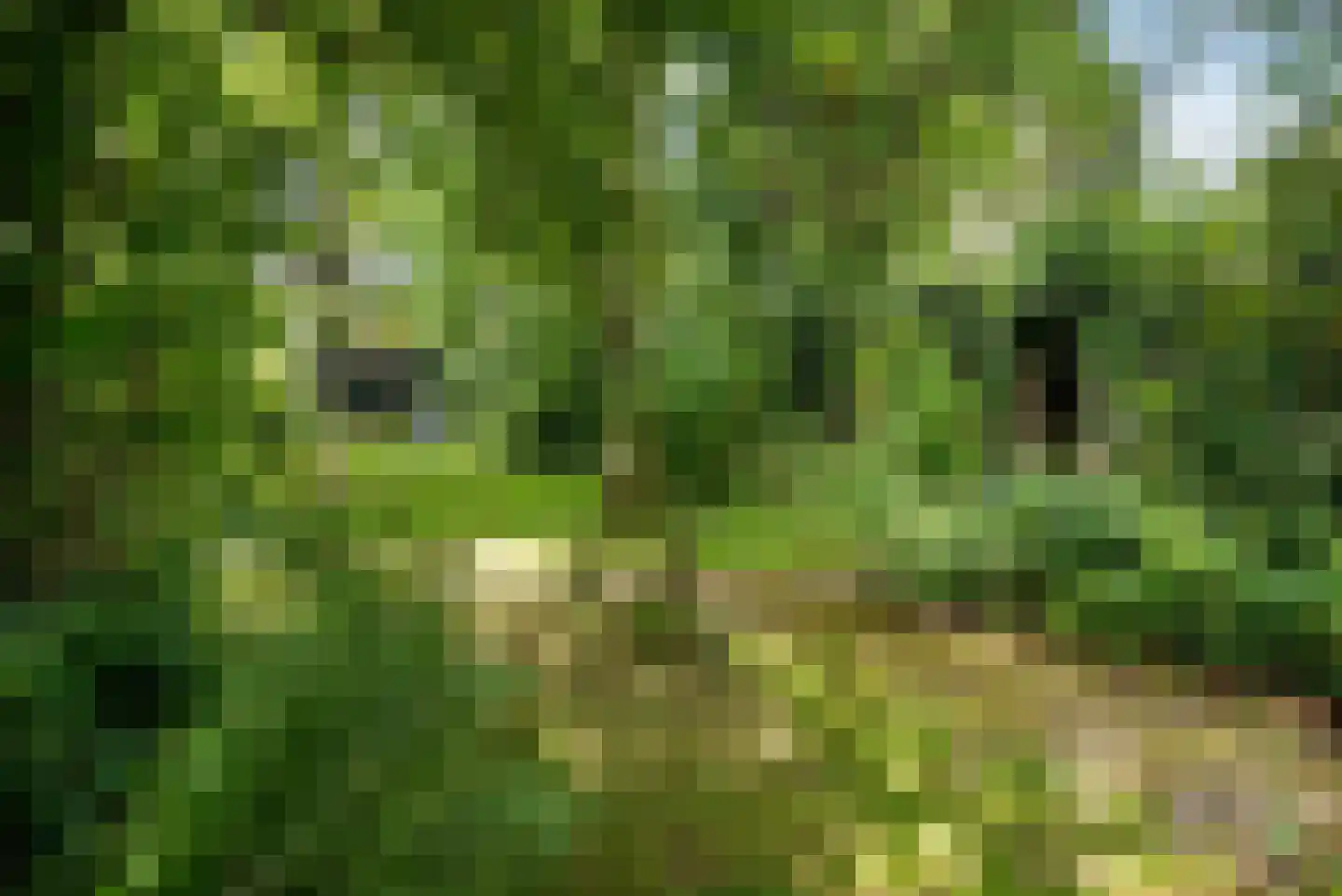 Vaart Z.Z. 123 Assen thumbnail 52