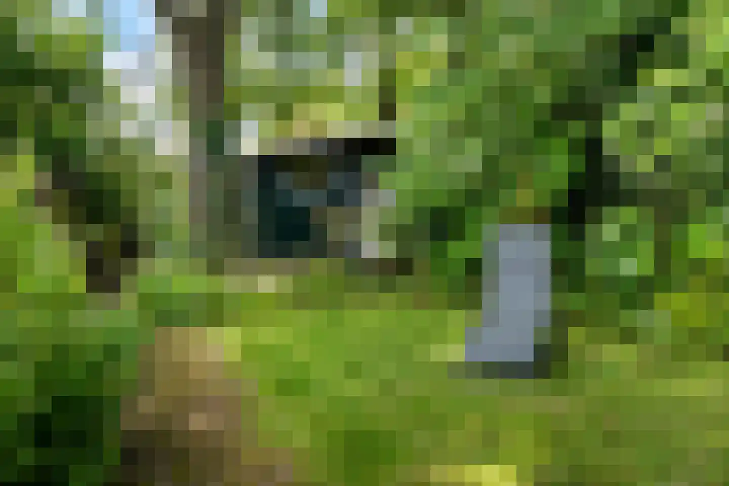 Vaart Z.Z. 123 Assen thumbnail 53