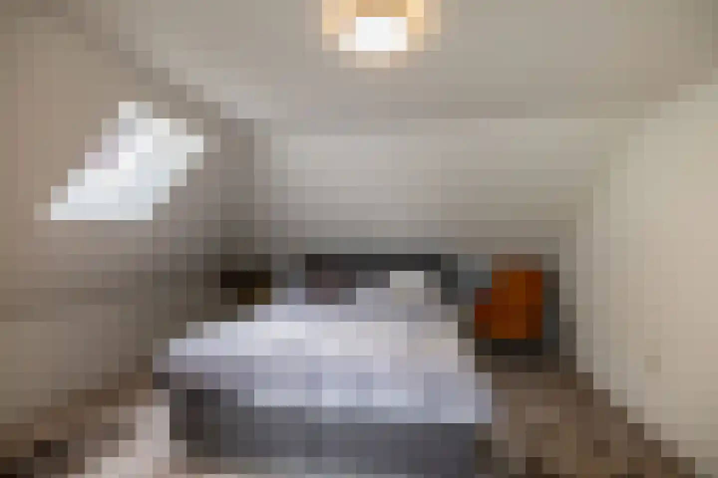 Vaart Z.Z. 17 A Assen thumbnail 19