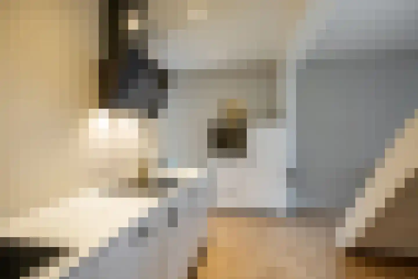 Vaart Z.Z. 17 A Assen thumbnail 7