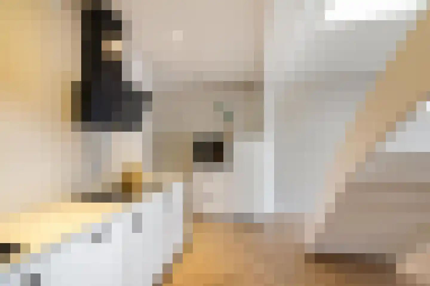 Vaart Z.Z. 17 A Assen thumbnail 8