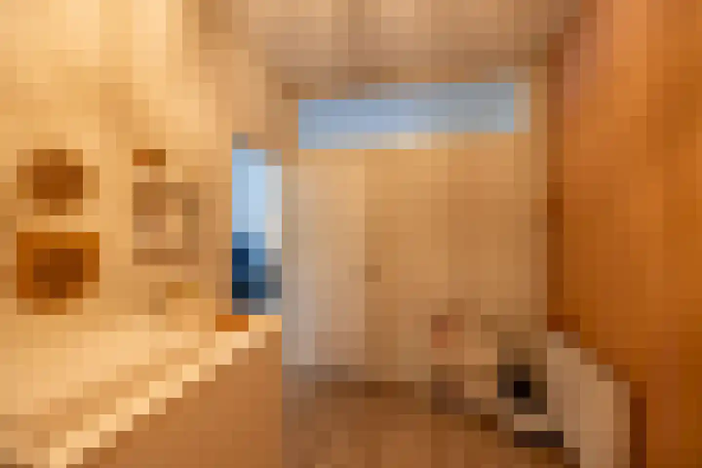 Vaart Z.Z. 17 Assen thumbnail 13