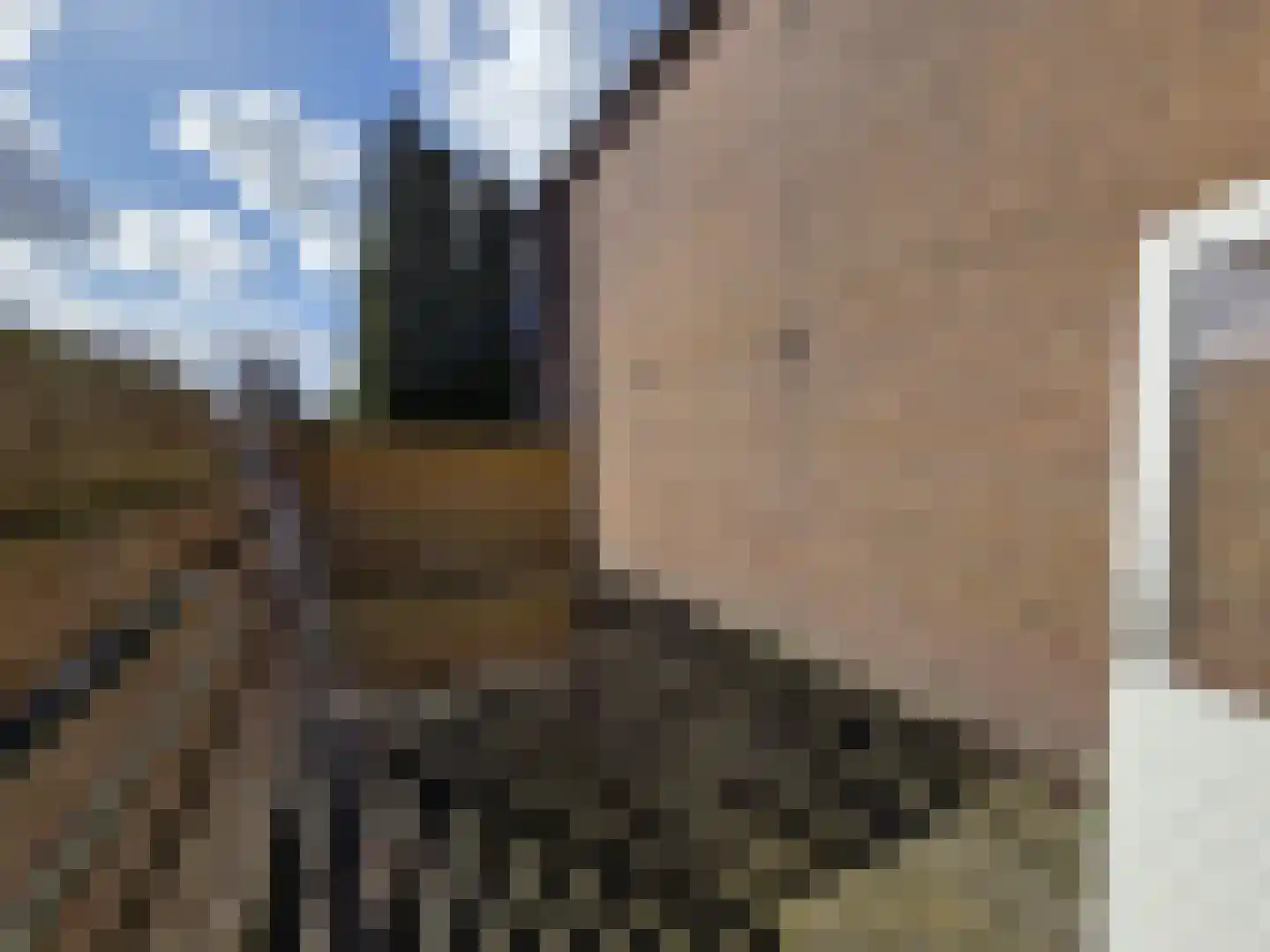 Vaart Z.Z. 17 Assen thumbnail 19