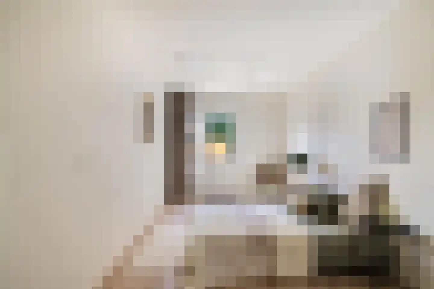 Vaart Z.Z. 17 Assen thumbnail 20