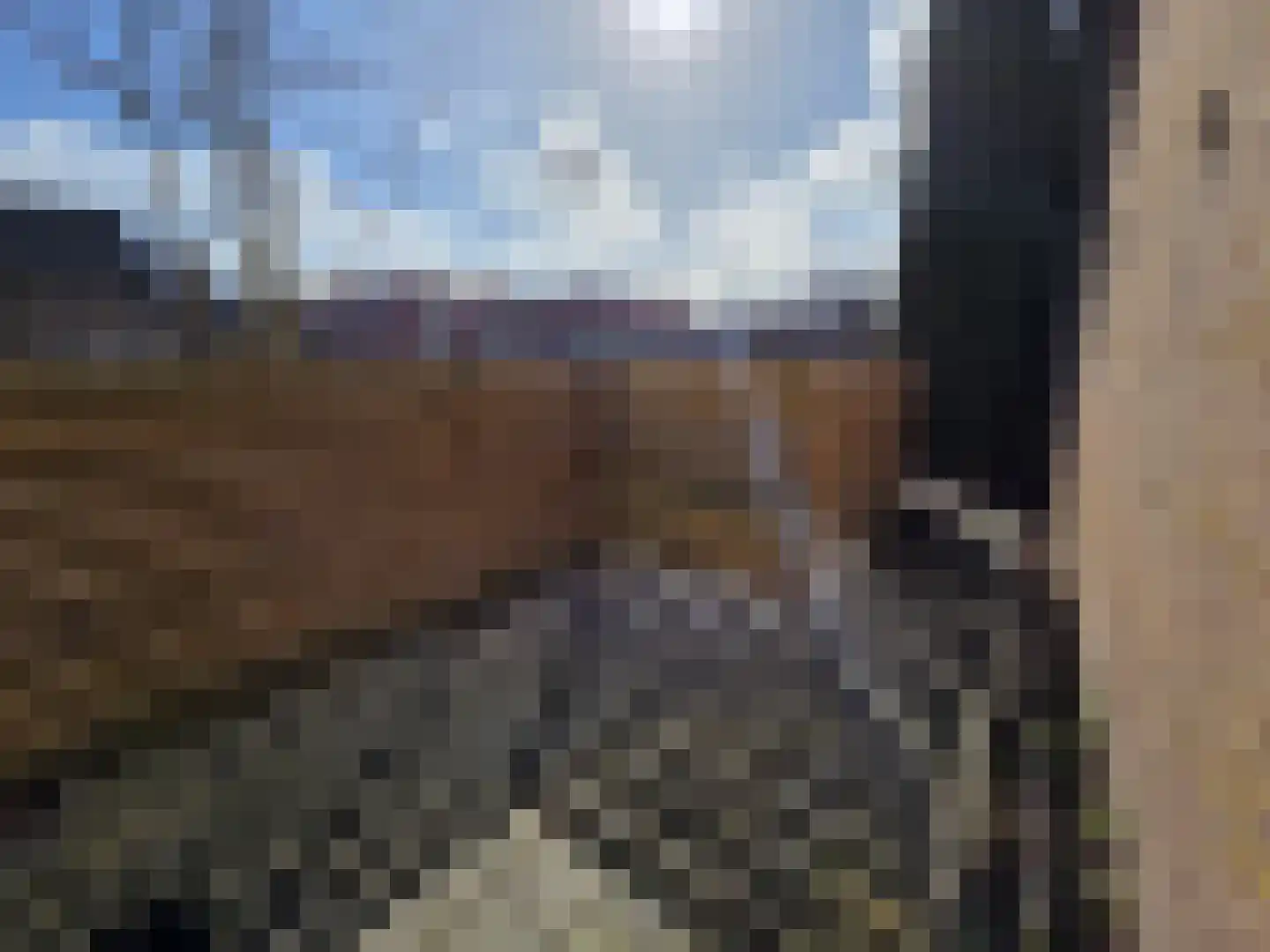 Vaart Z.Z. 17 Assen thumbnail 20