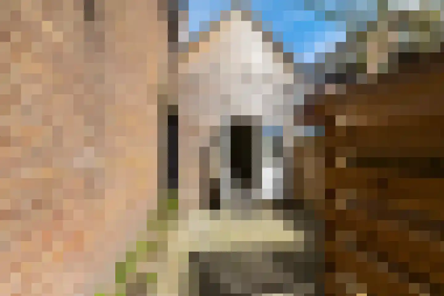 Vaart Z.Z. 17 Assen thumbnail 22