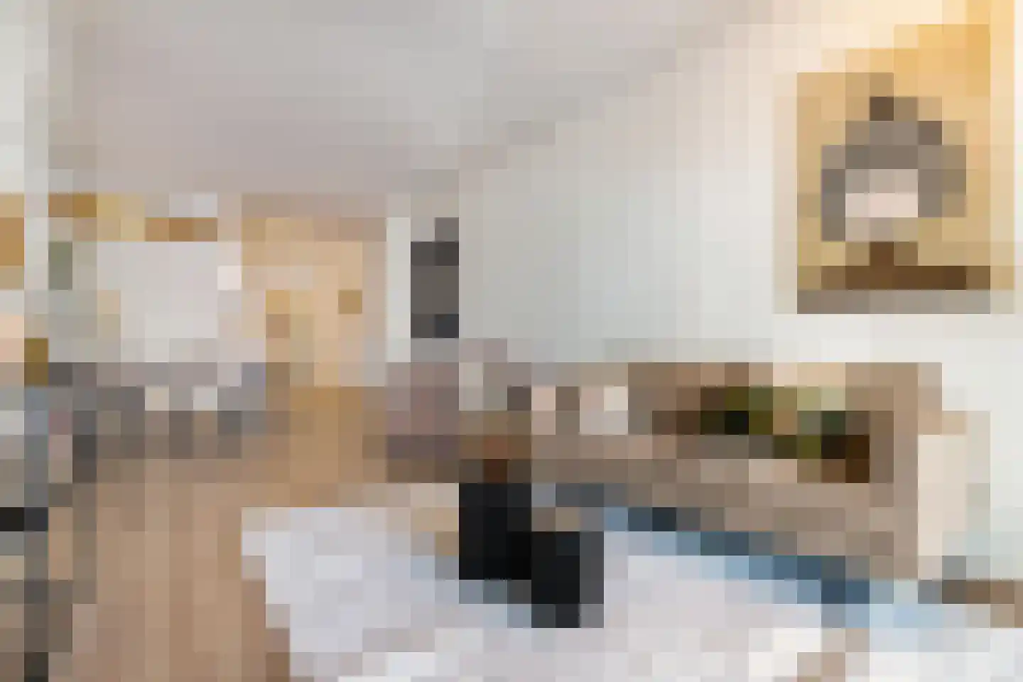 Vaart Z.Z. 17 Assen thumbnail 8