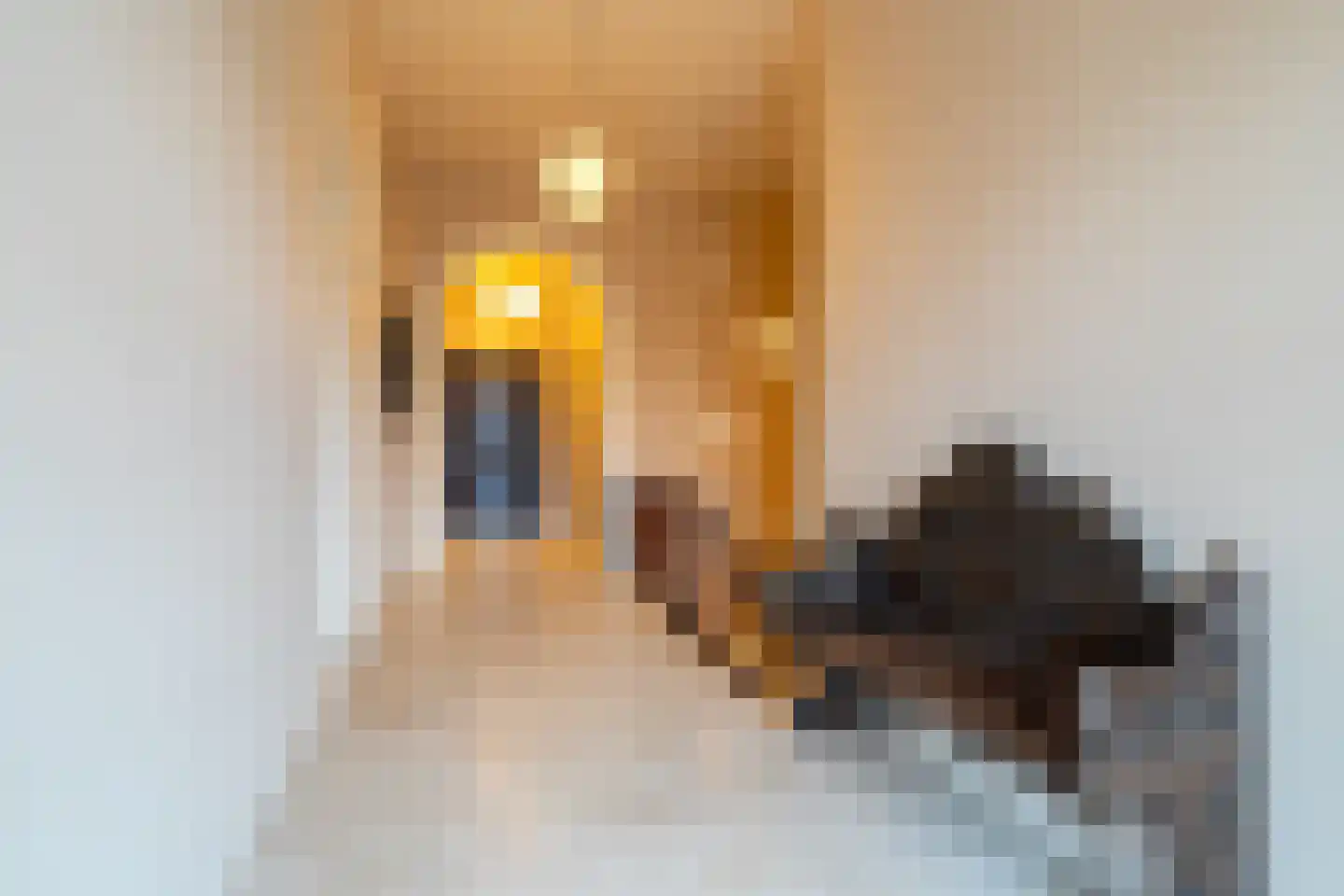 Vaart Z.Z. 33 Assen thumbnail 43