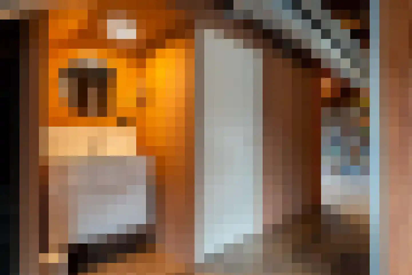 Vaart Z.Z. 33 Assen thumbnail 65
