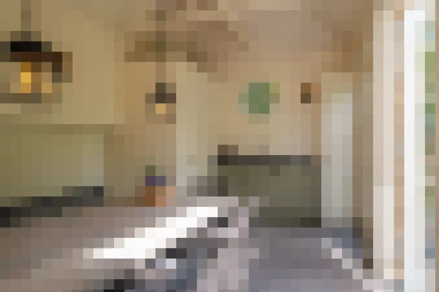 Vaart Z.Z. 33 Assen thumbnail 83