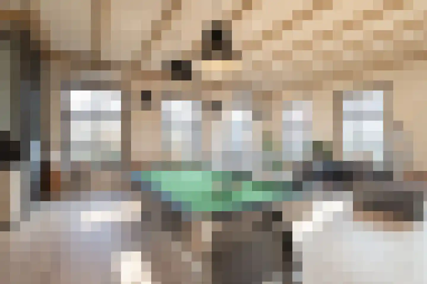 Vaart Z.Z. 97 Assen thumbnail 24