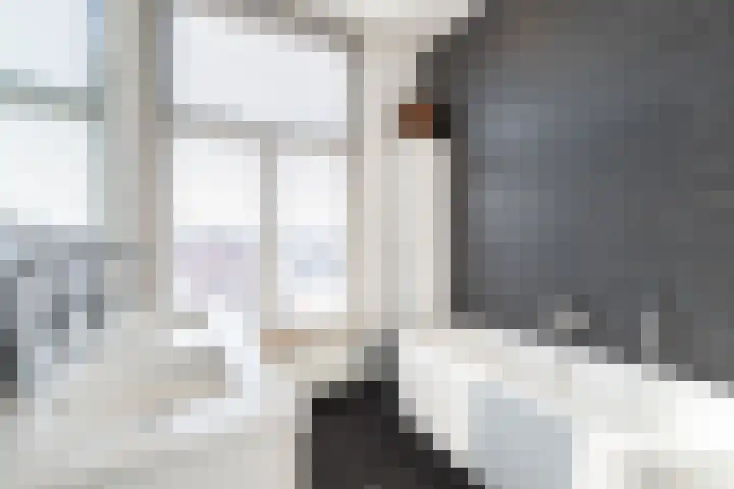 Vaart Z.Z. 97 Assen thumbnail 51