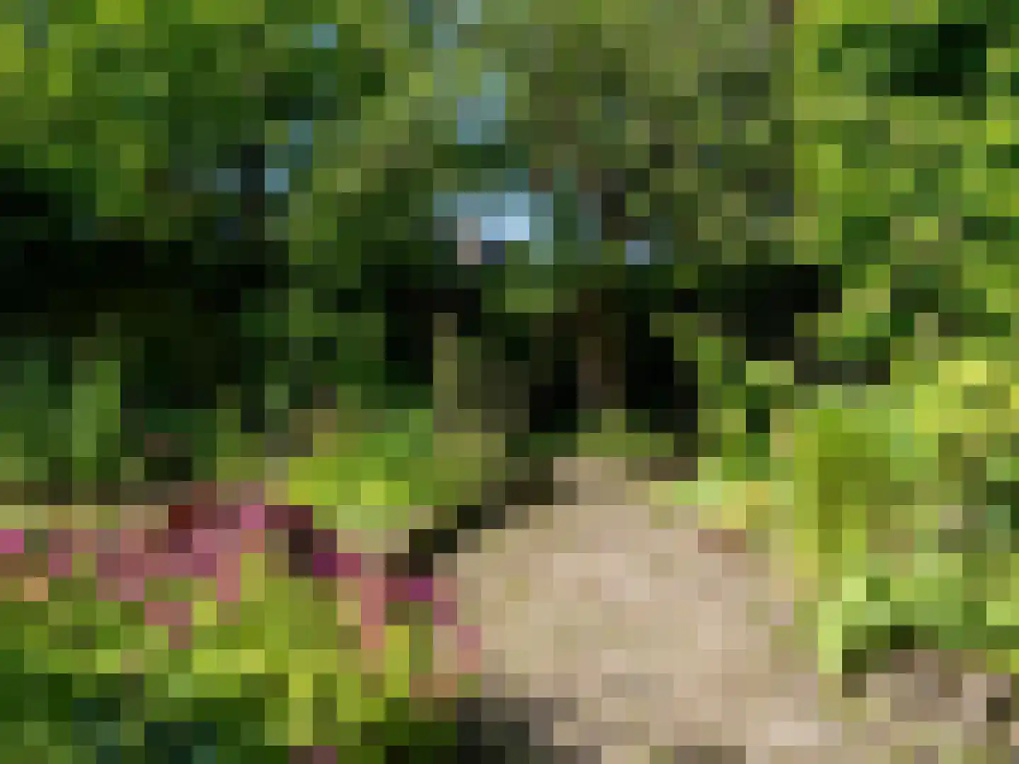 Vaart Z.Z. 97 Assen thumbnail 64