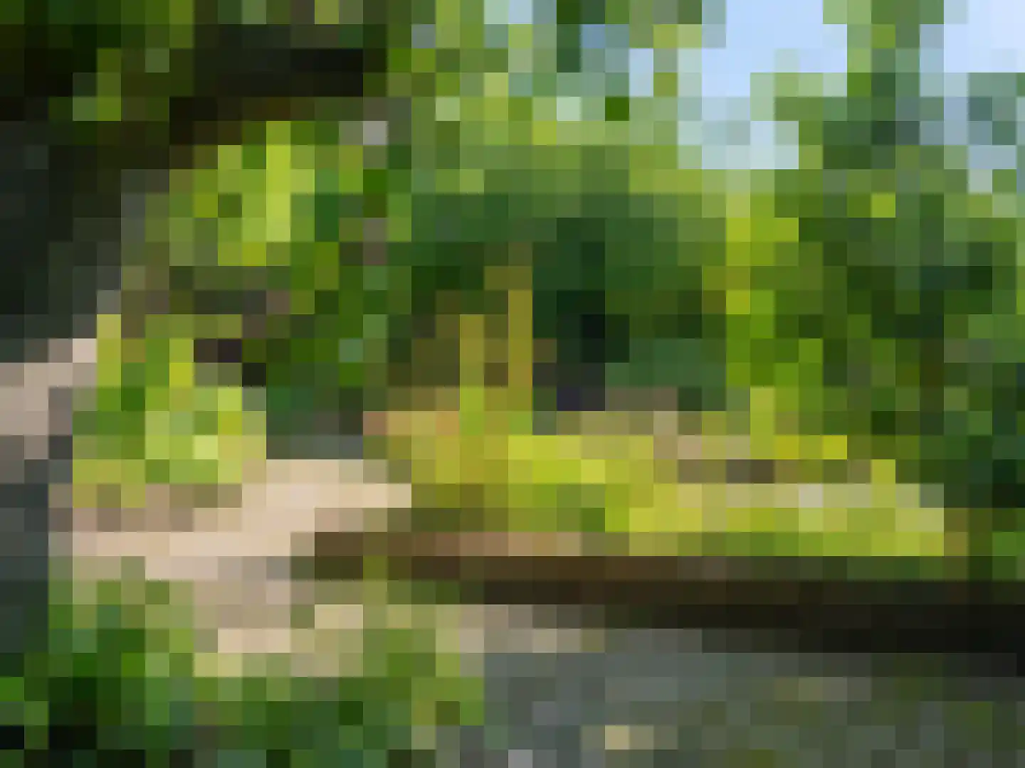 Vaart Z.Z. 97 Assen thumbnail 67