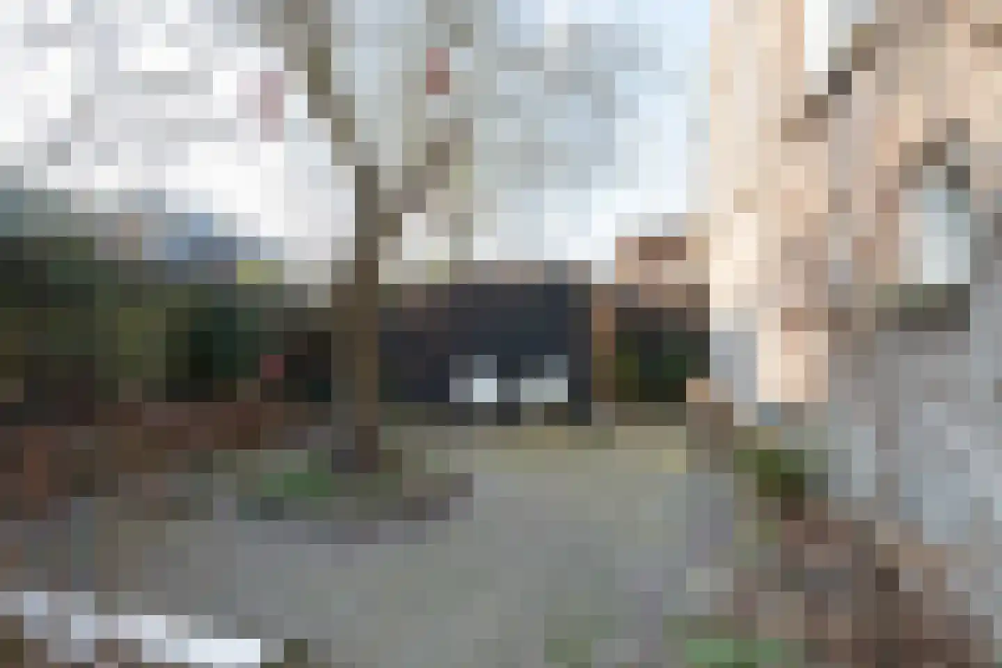 Vaart Z.Z. 97 Assen thumbnail 67