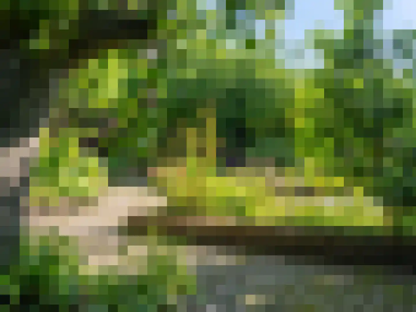 Vaart Z.Z. 97 Assen thumbnail 67