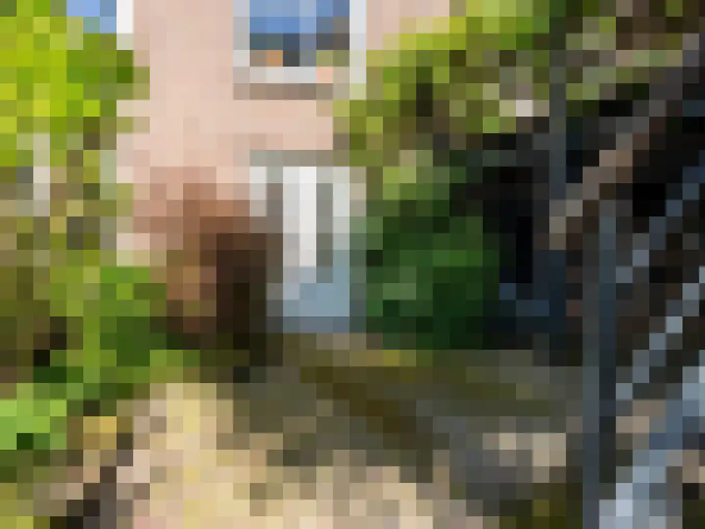 Vaart Z.Z. 97 Assen thumbnail 68