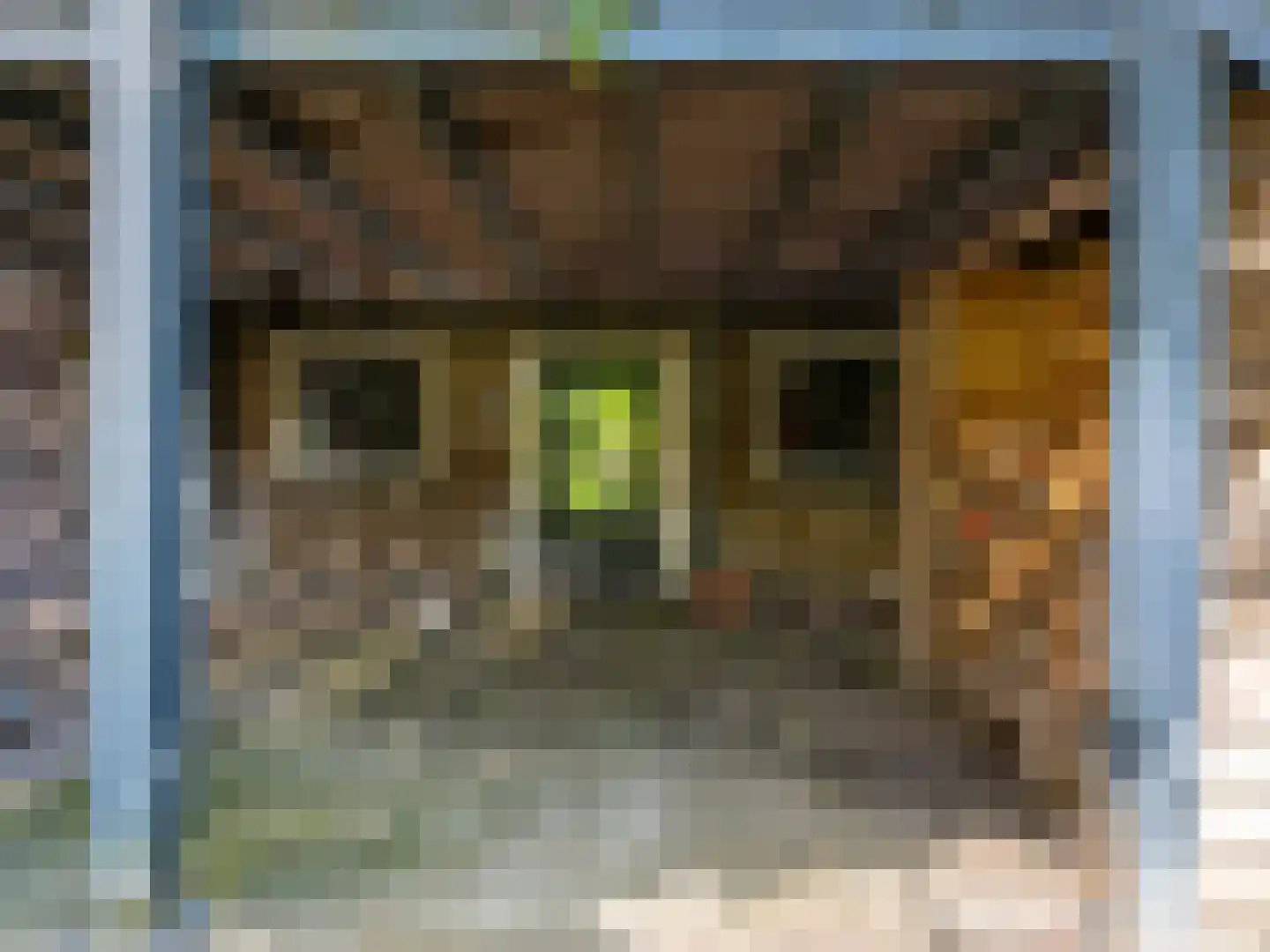 Vaart Z.Z. 97 Assen thumbnail 69
