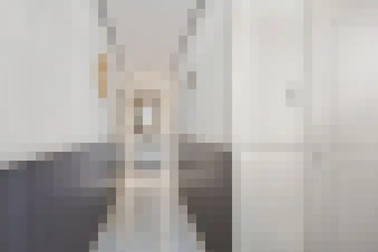 Vaart Zz 11 Appelscha thumbnail 10