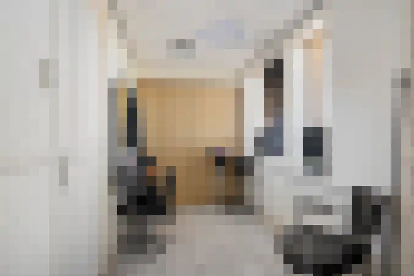 Vaart Zz 11 Appelscha thumbnail 11