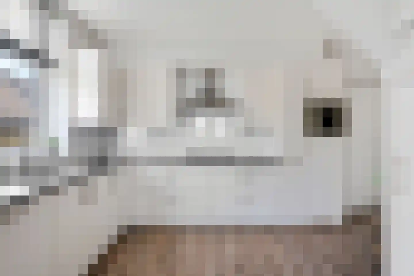 Vaart Zz 11 Appelscha thumbnail 22