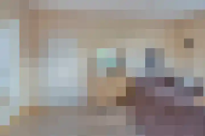 Vaart Zz 11 Appelscha thumbnail 30
