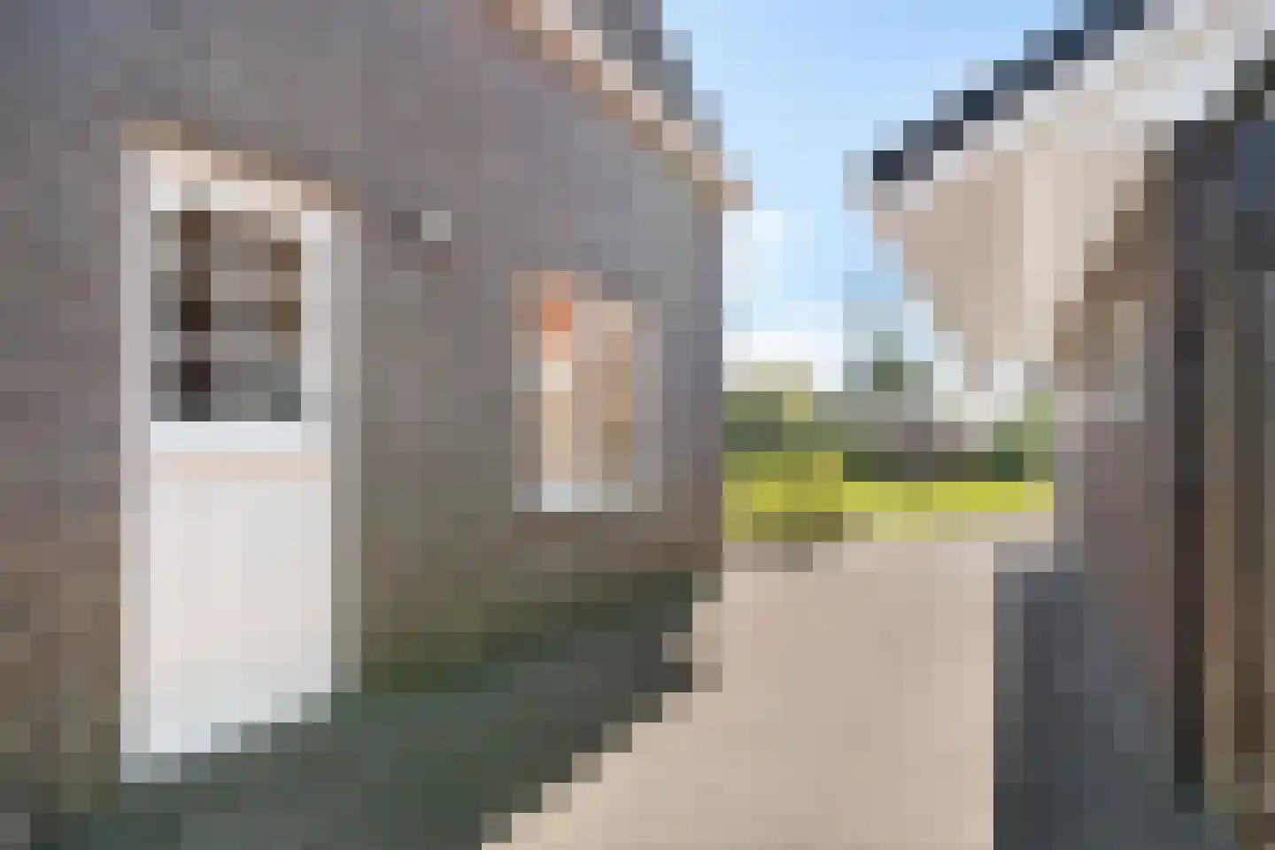 Vaart Zz 11 Appelscha thumbnail 39