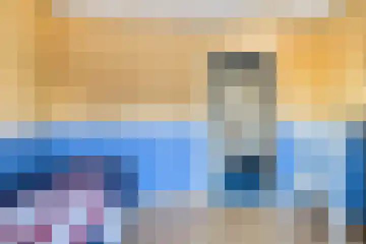 Vaart Zz 11 Appelscha thumbnail 40