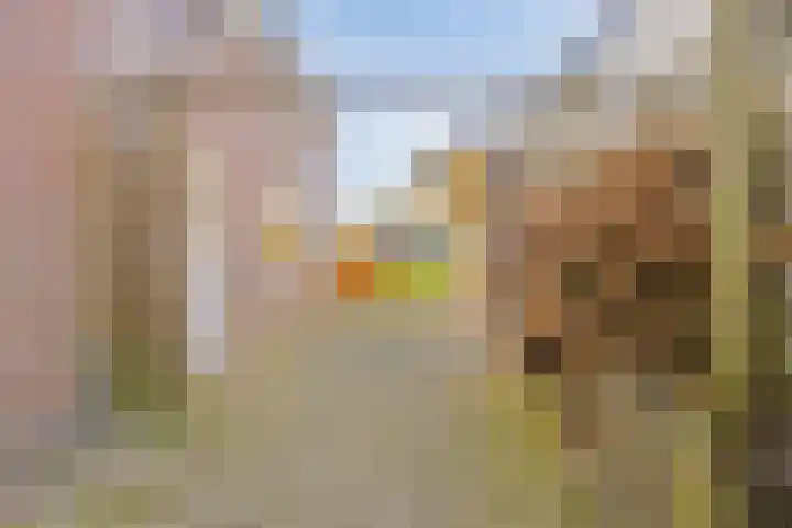 Vaart Zz 11 Appelscha thumbnail 48