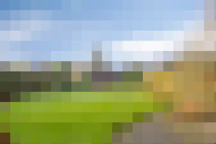 Vaart Zz 11 Appelscha thumbnail 50