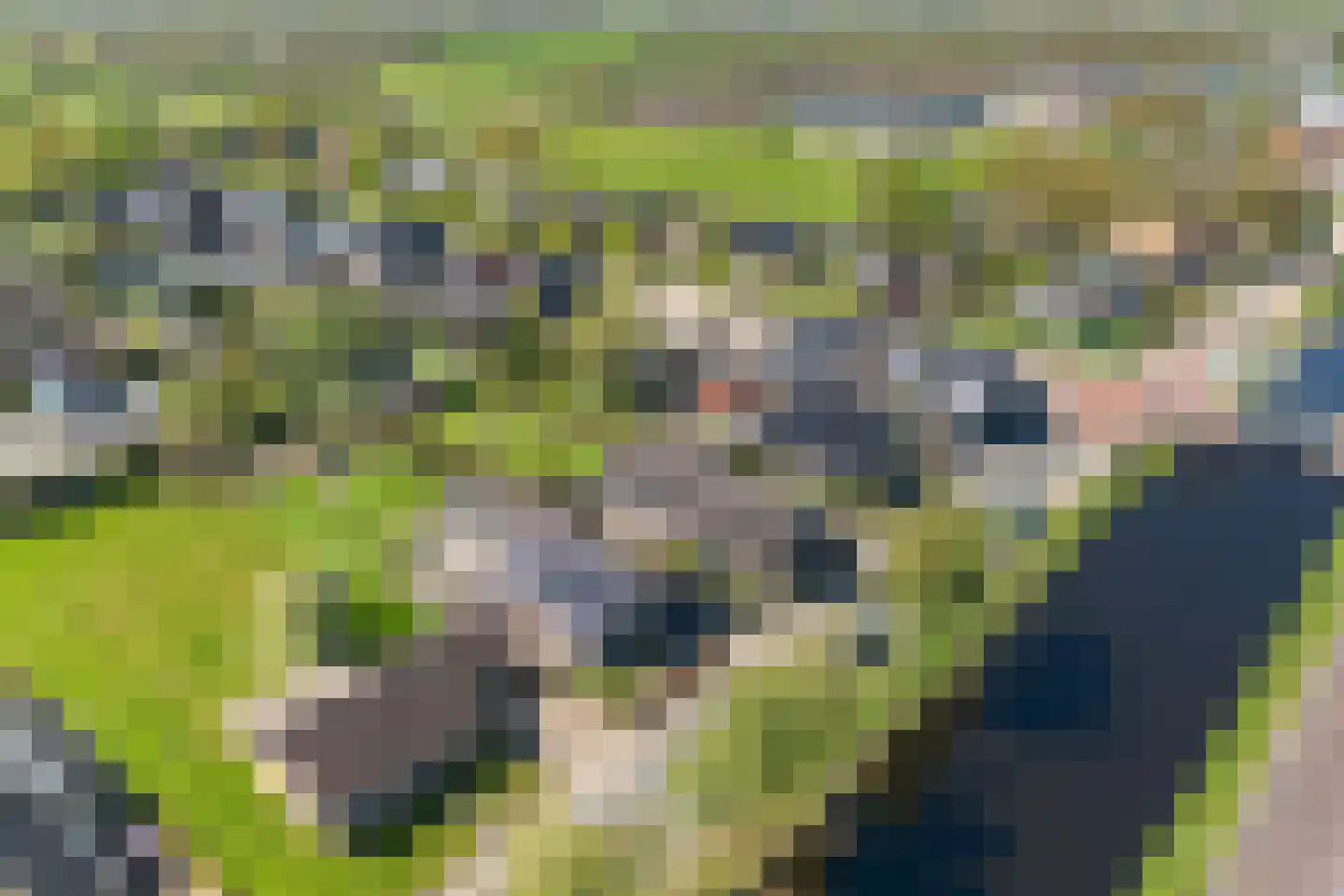 Vaart Zz 11 Appelscha thumbnail 52