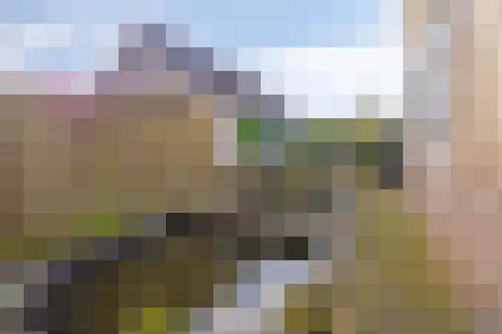 Vaart Zz 11 Appelscha thumbnail 54