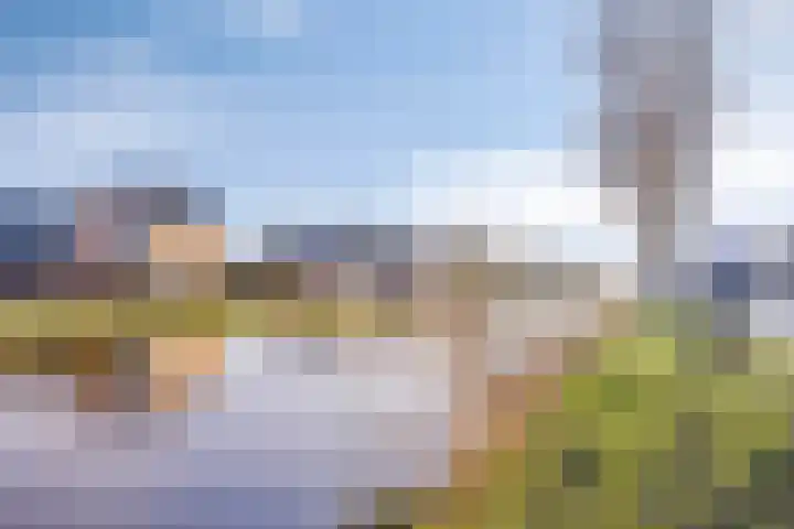 Vaart Zz 11 Appelscha thumbnail 57