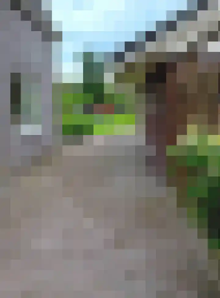 Vaart Zz 11 Appelscha thumbnail 64