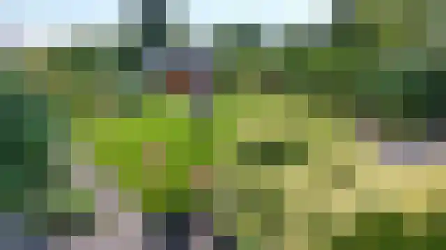 Vaart Zz 11 Appelscha thumbnail 67