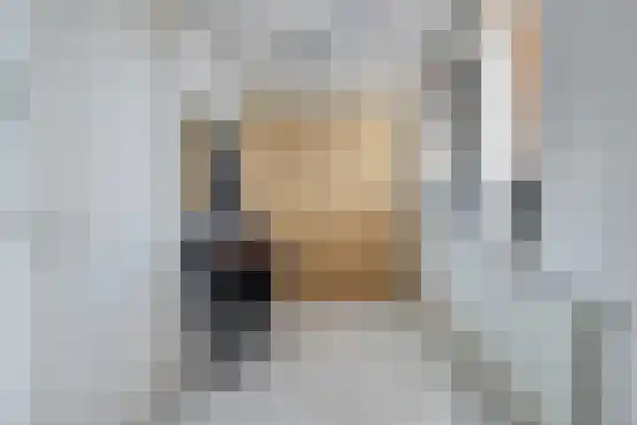 Vaart Zz 11 Appelscha thumbnail 7