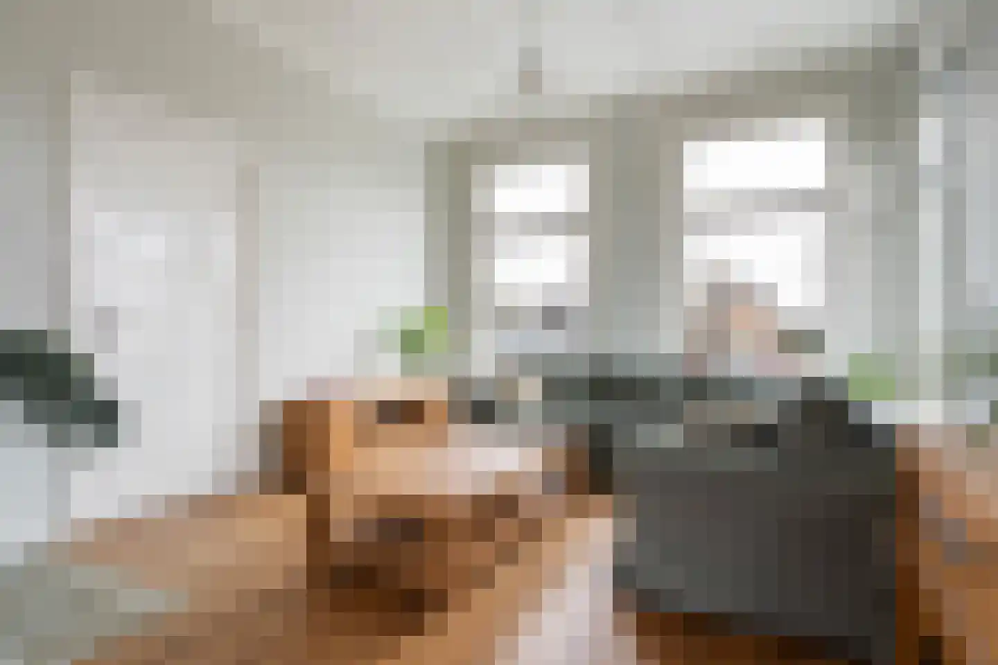 Vaart Zz 30 Appelscha thumbnail 13