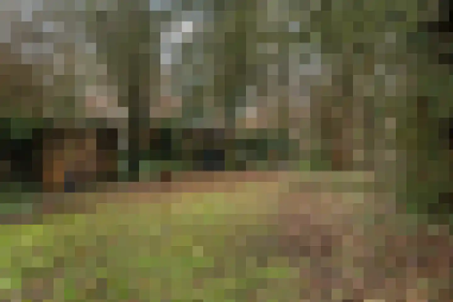 Vaart Zz 30 Appelscha thumbnail 31