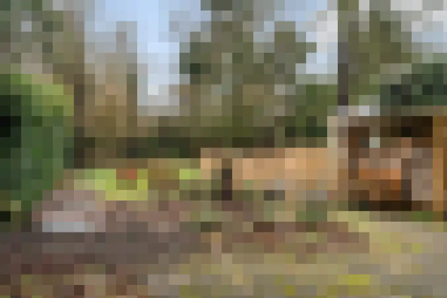 Vaart Zz 30 Appelscha thumbnail 32