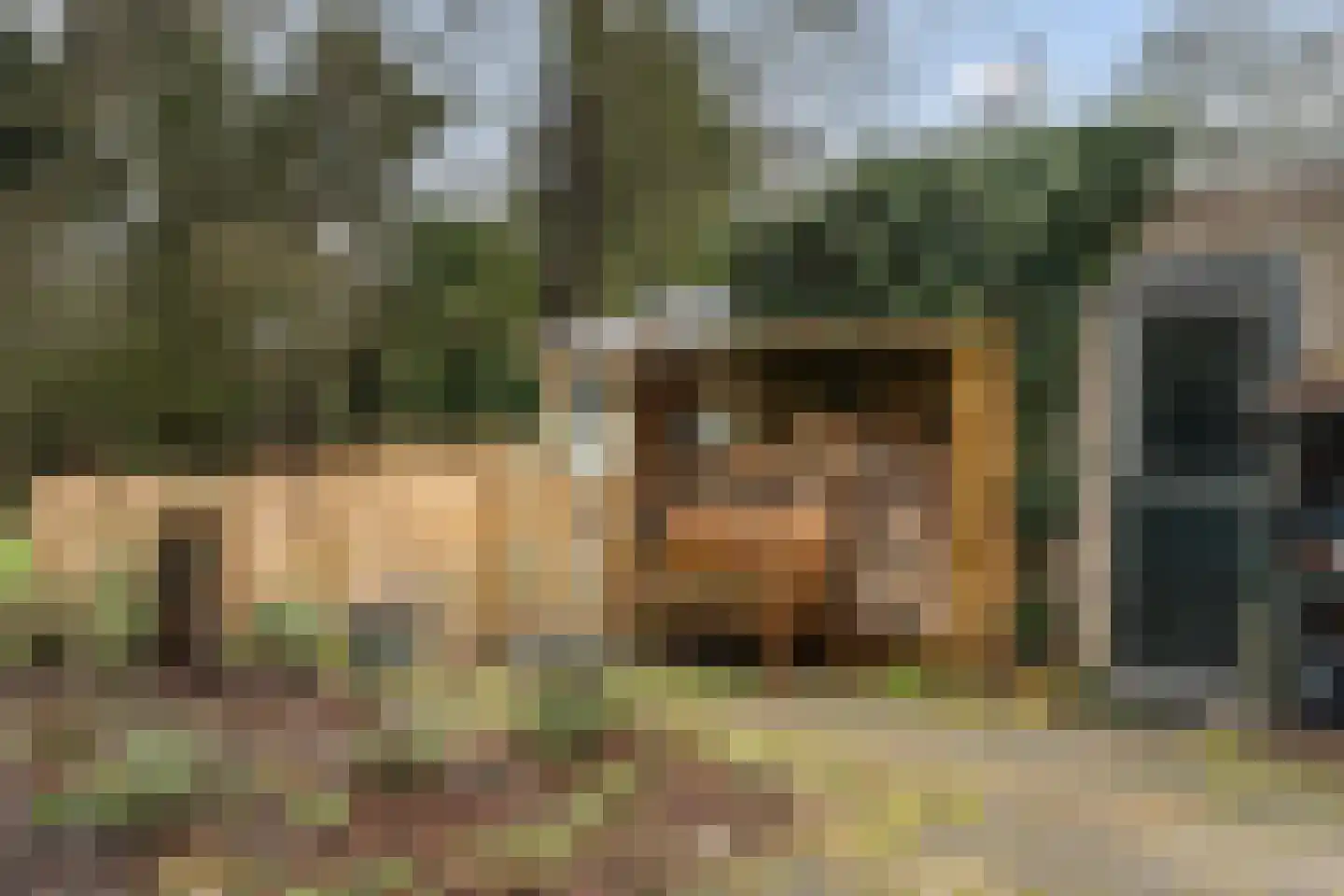 Vaart Zz 30 Appelscha thumbnail 33