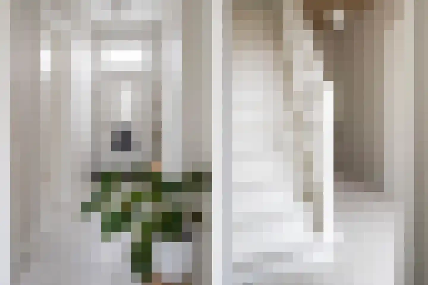 Vaart Zz 30 Appelscha thumbnail 7