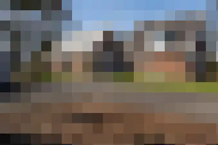 Vaart Zz 33 in Appelscha