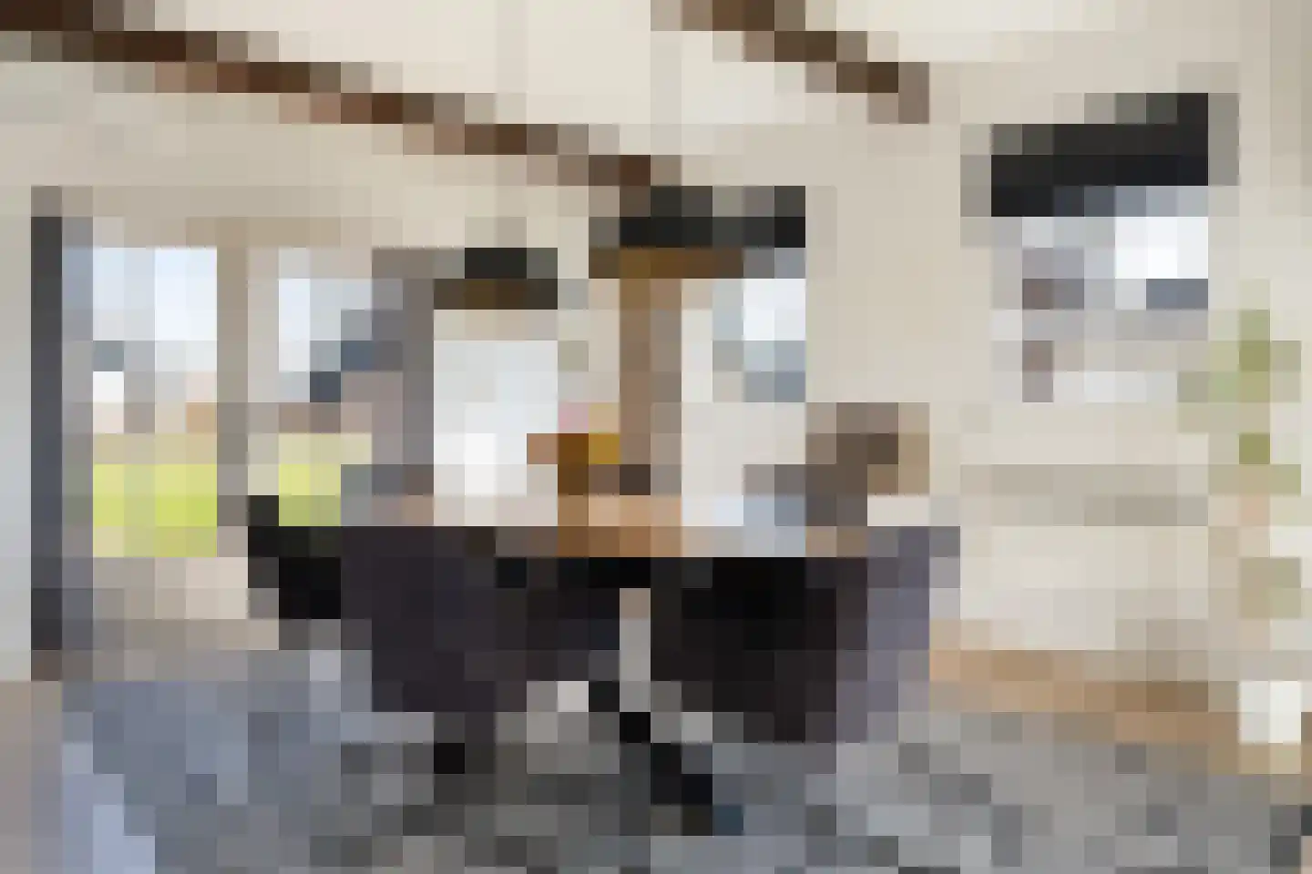 Vaart Zz 33 Appelscha thumbnail 16