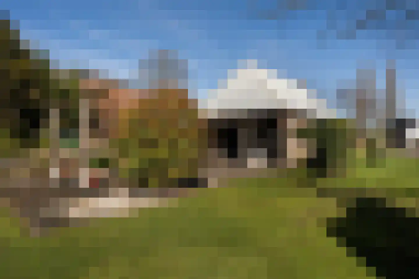 Vaart Zz 33 Appelscha thumbnail 30