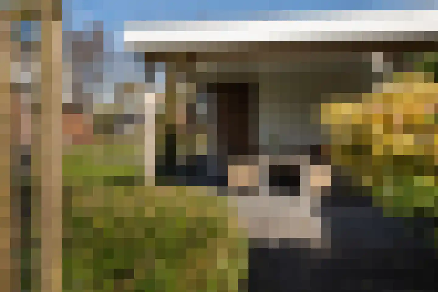Vaart Zz 33 Appelscha thumbnail 34