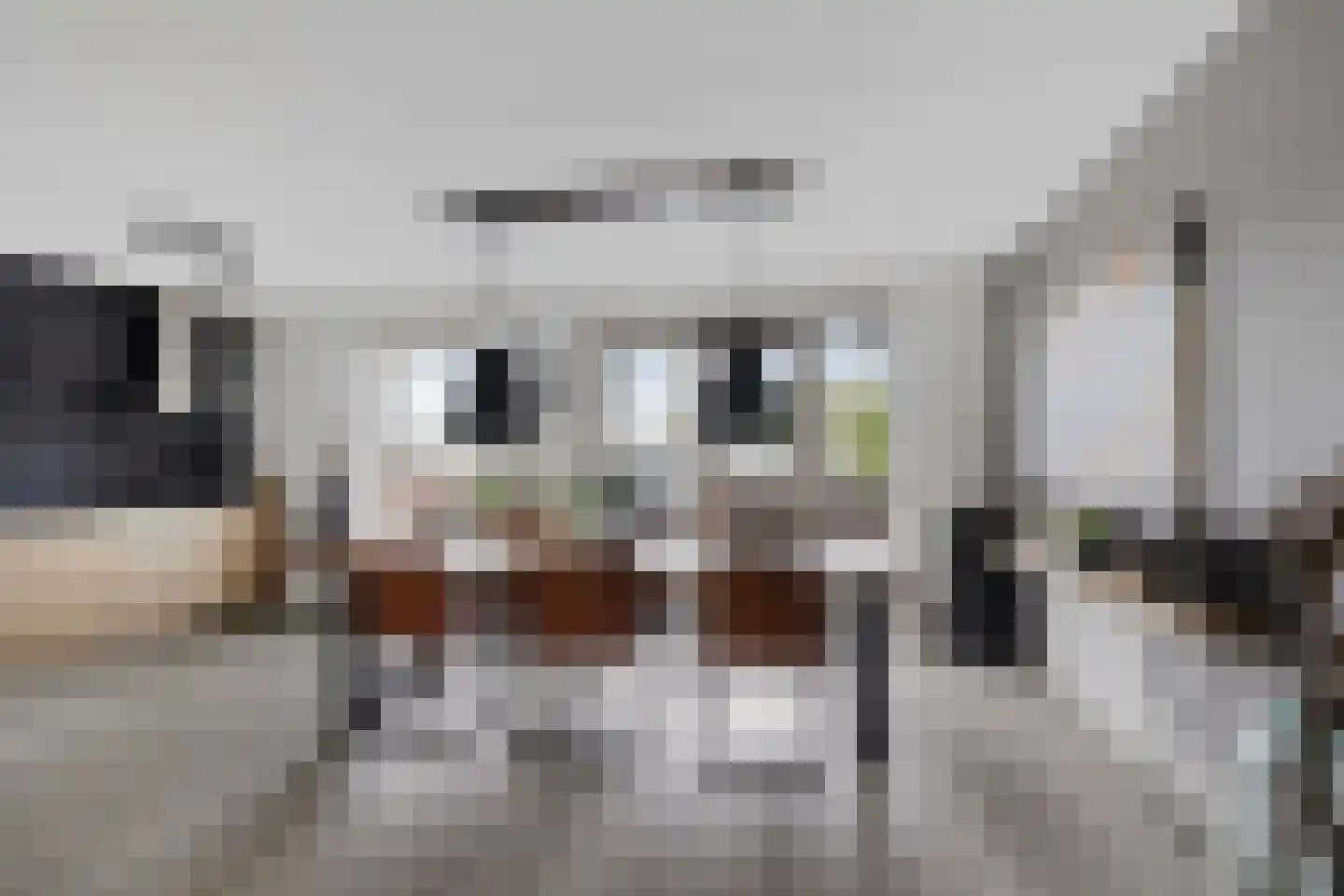 Vaart ZZ 4 D Nieuw-Amsterdam thumbnail 10