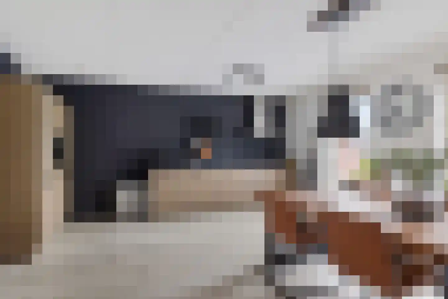Vaart ZZ 4 D Nieuw-Amsterdam thumbnail 11