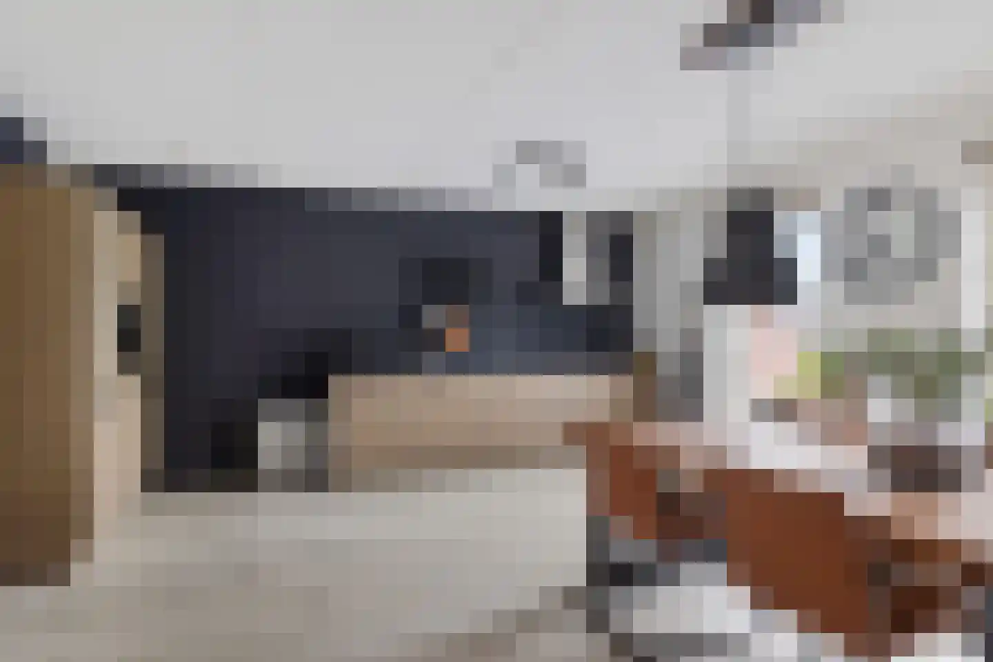 Vaart ZZ 4 D Nieuw-Amsterdam thumbnail 11