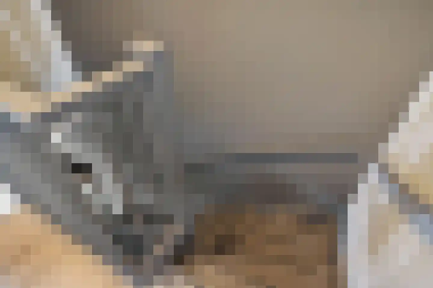 Vaart ZZ 4 D Nieuw-Amsterdam thumbnail 21
