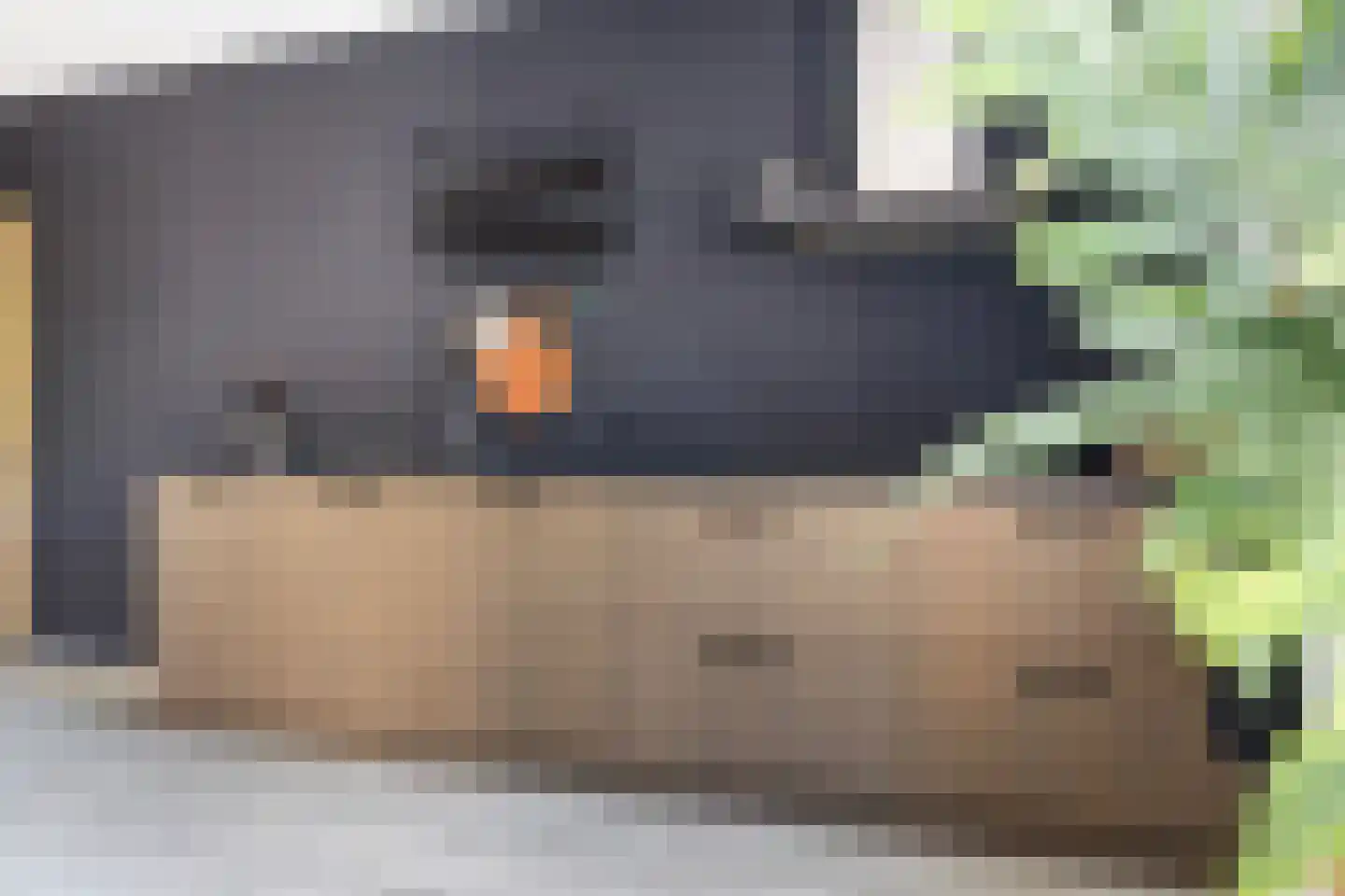 Vaart ZZ 4 D Nieuw-Amsterdam thumbnail 21